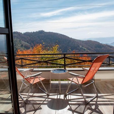 Apartman Andjela Kopaonik Exteriér fotografie