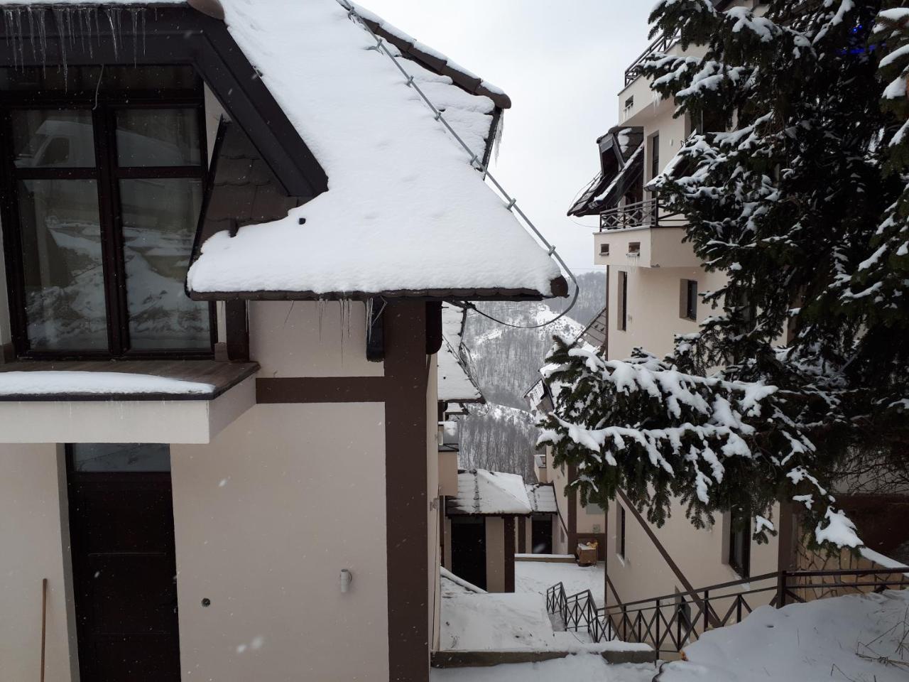 Apartman Andjela Kopaonik Exteriér fotografie
