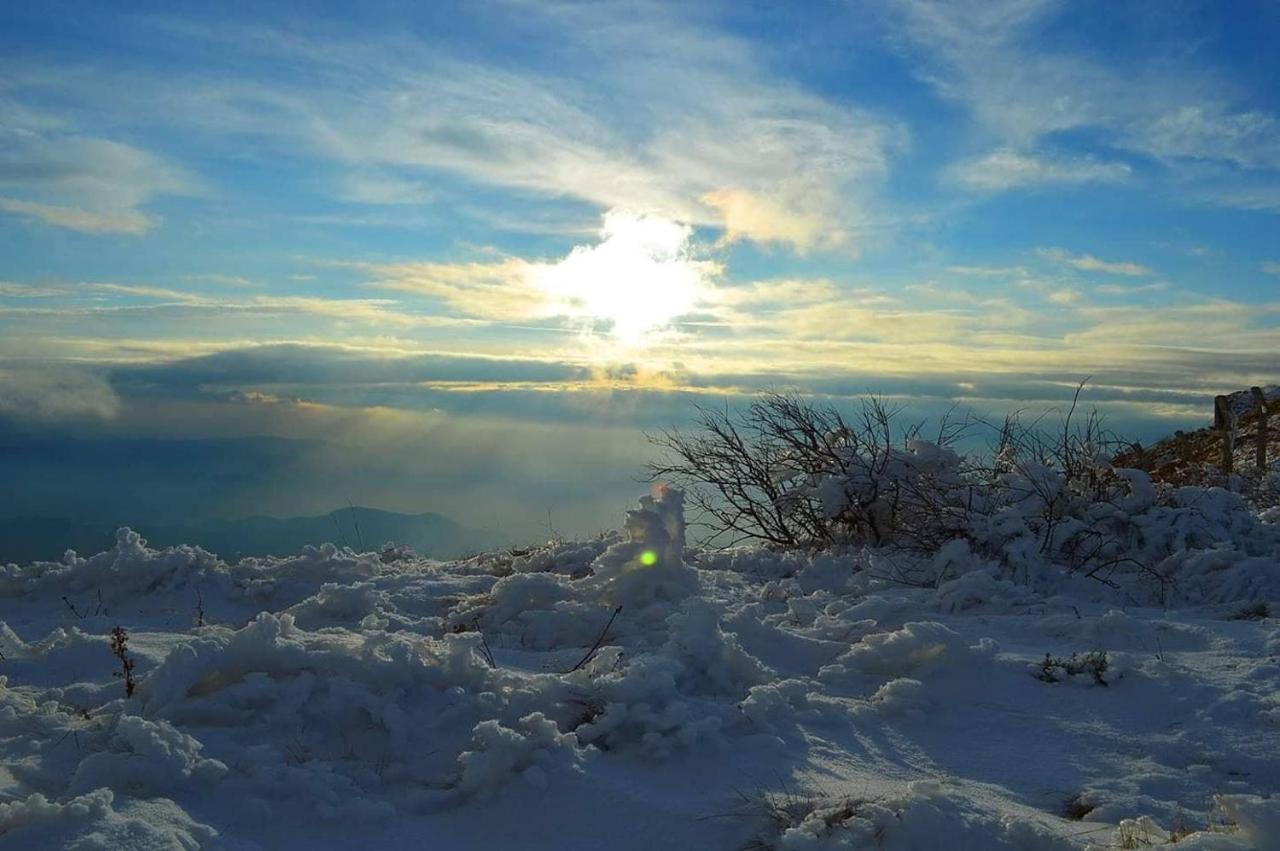 Apartman Andjela Kopaonik Exteriér fotografie